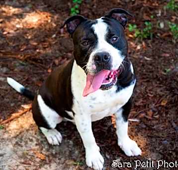 Photo of Zeus