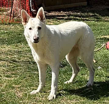 Photo of Molly