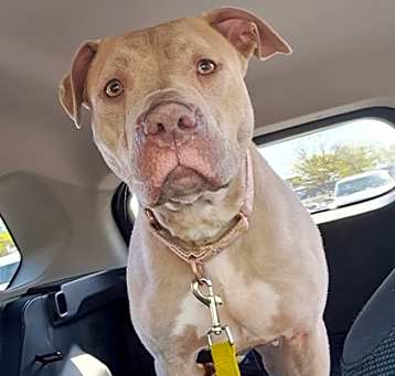 Photo of Luna