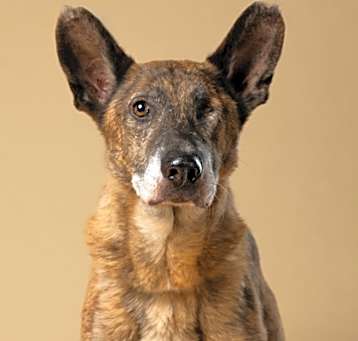 Photo of Laverne