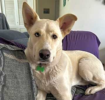 Photo of Silver