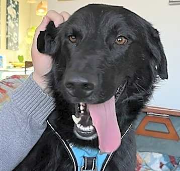 Photo of Lucas