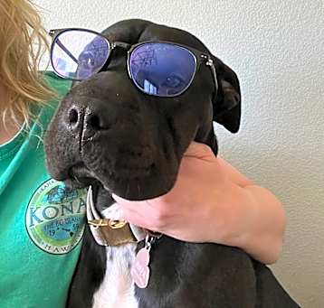 Photo of Pippa (Livia)