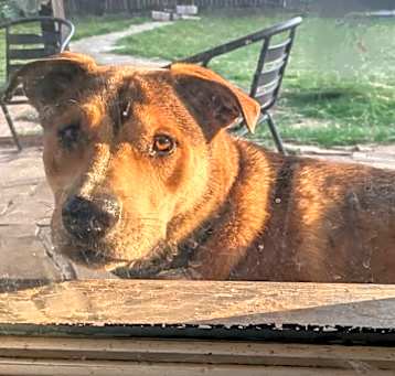 Photo of Bingo
