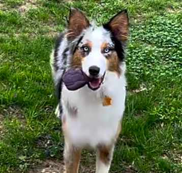 Photo of 0829 Arya
