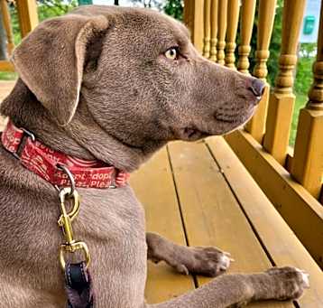 Photo of Elsa