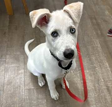 Photo of Lucy Loo