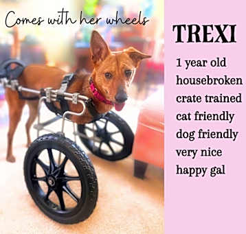 Photo of Trexi