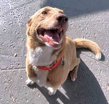 Photo of Charlie