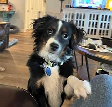 Photo of Benny