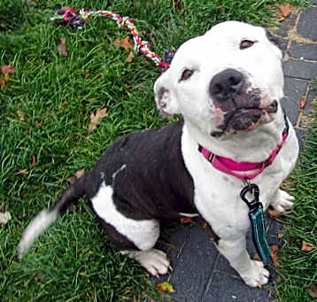 Photo of Norah