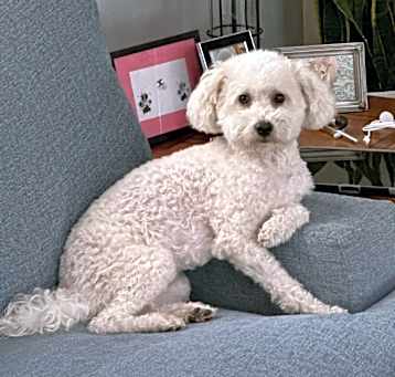 Photo of Macie