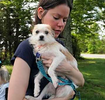Photo of MALI   8 LBS   10 MOS   FOSTERED IN NJ