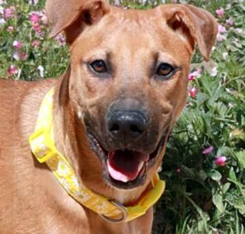 Photo of Sierra Mist*/lola