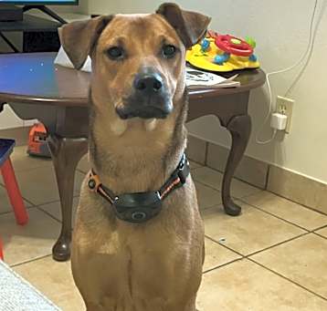 Photo of Axel