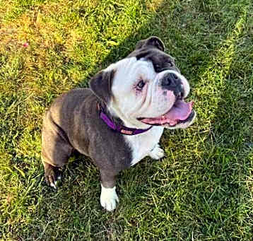 Photo of Lola