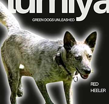 Photo of Lumiya