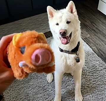 Photo of Oliver
