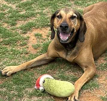 Photo of Maggie