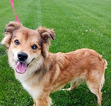 Photo of Lil' Man