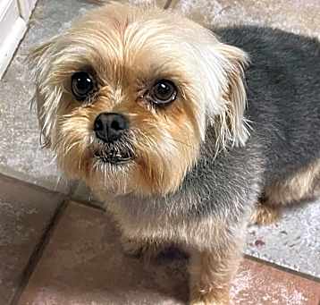 Photo of Lola
