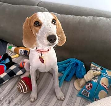 Photo of Dottie