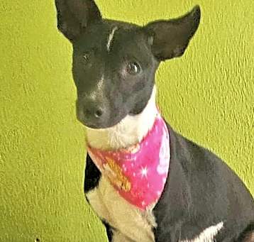Photo of SOLI