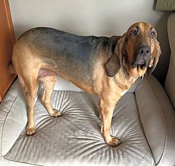 Photo of Ellie