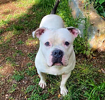 Photo of Buster