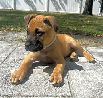 Photo of Hankie Hank Hank