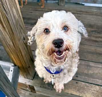 Photo of Betsy
