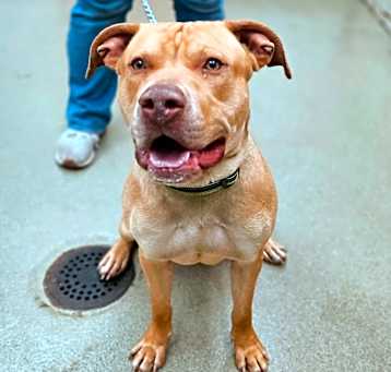 Photo of Cash 