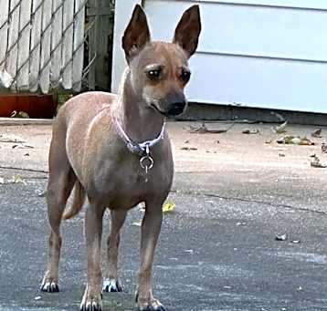 Photo of CeCe