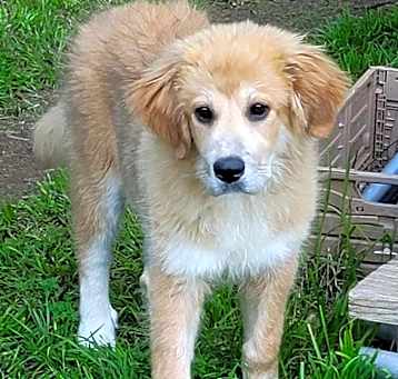 Photo of Ellie Mae