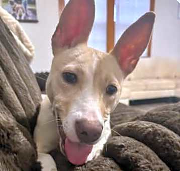 Photo of Tiny