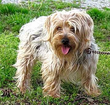 Photo of MURPHY