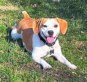 Photo of Zeus