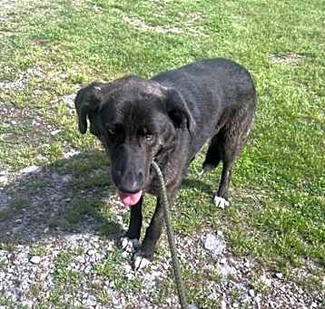 Photo of Layla
