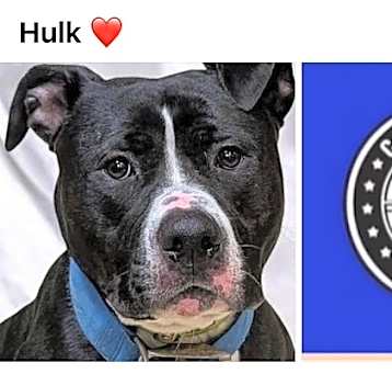 Photo of HULK