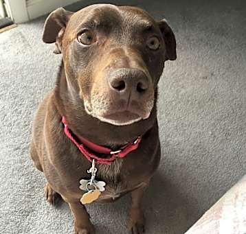 Photo of Bud
