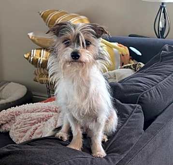 Photo of Tater