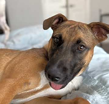 Photo of Skye