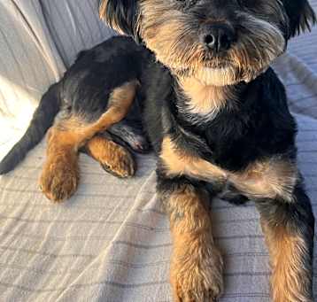 Photo of Charlie
