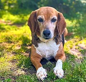 Photo of Minnie