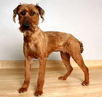 Photo of Mayci D64785