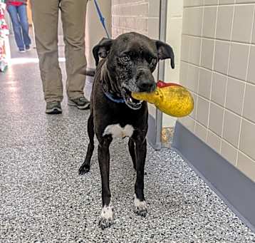 Photo of Vero (aka Riley) 