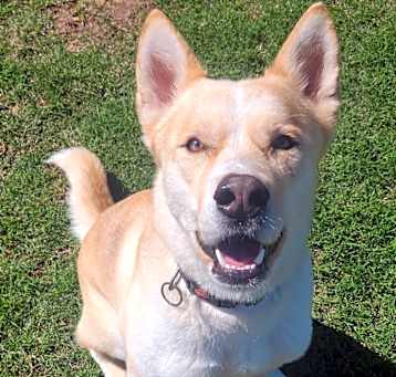 Photo of Cosmo 