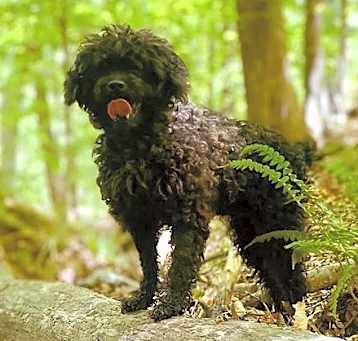 Photo of Bonita Jan 25 - A Special Girl!