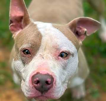 Photo of Sugar