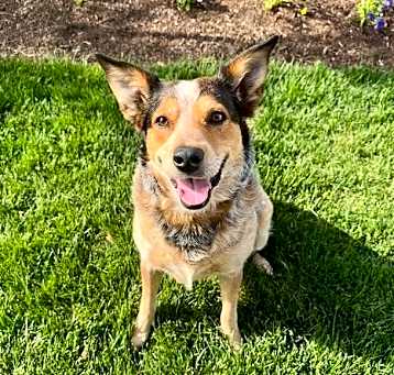 Photo of Deja